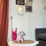 équipé à Avec Terrasse * Caen